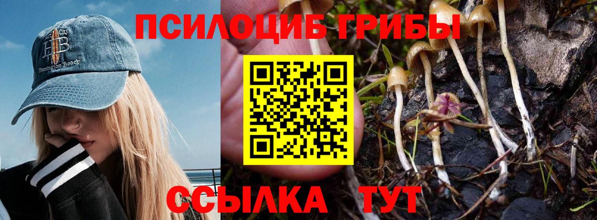 Касимов  Галлюциногенные грибы прущие грибы  Вход с VPN 