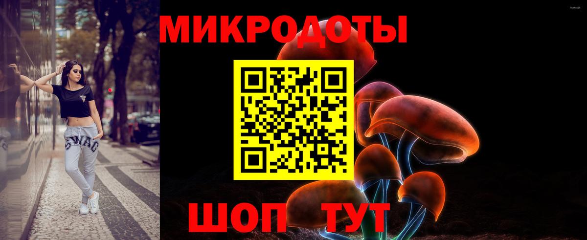 Псилоцибиновые грибы Psilocybe Касимов